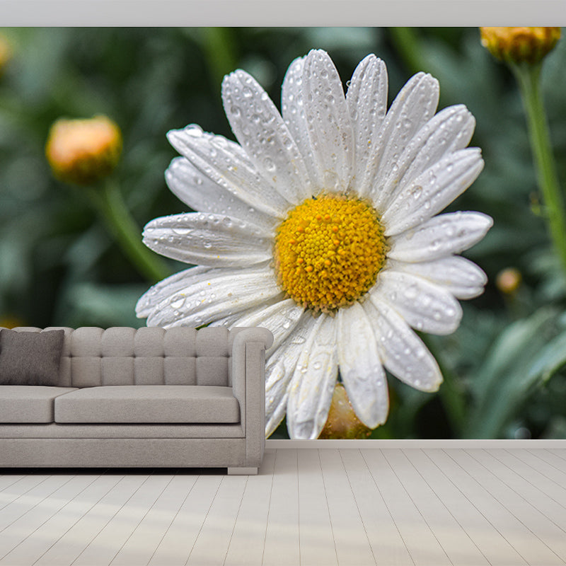 Chrysanthemum Mural Wallpaper Custom-Made Wall Covering for Bedroom Gust Room