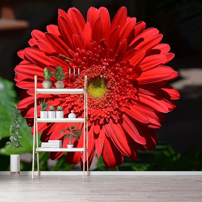 Chrysanthemum Mural Wallpaper Custom-Made Wall Covering for Bedroom Gust Room