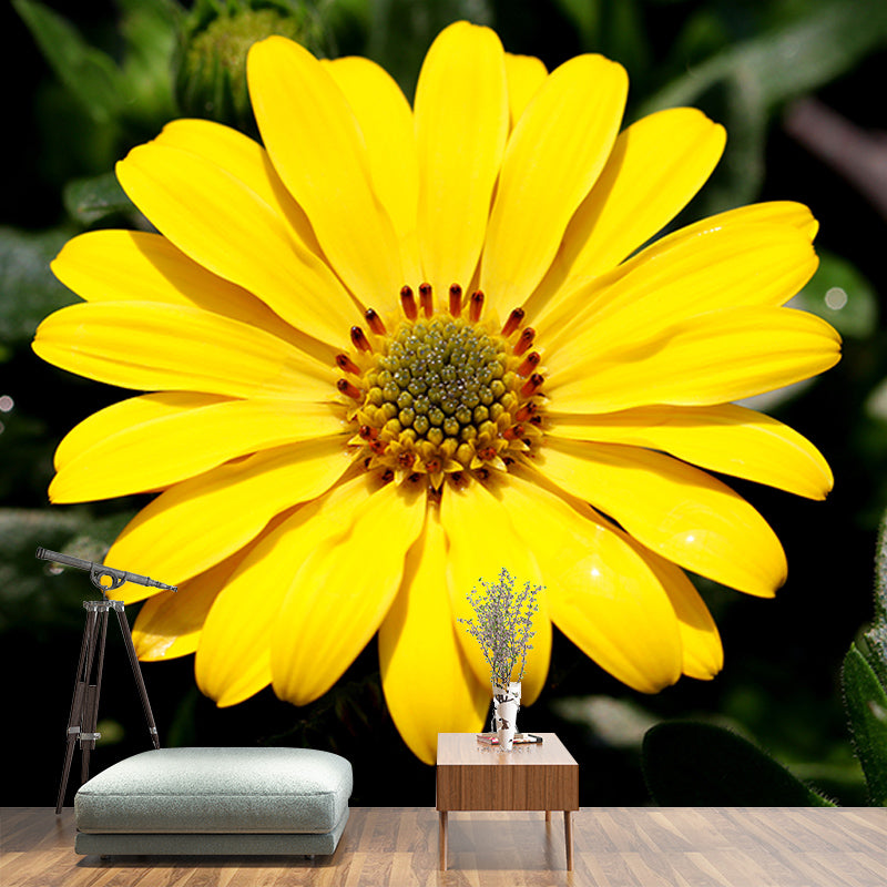 Elegant Chrysanthemum Murals Modern Wall Covering for Sitting Room, Water Resistant