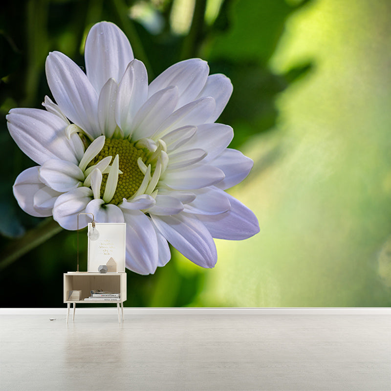 Elegant Chrysanthemum Murals Modern Wall Covering for Sitting Room, Water Resistant