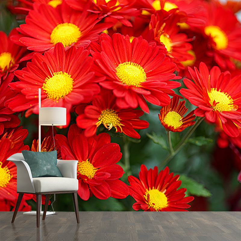 Elegant Chrysanthemum Murals Modern Wall Covering for Sitting Room, Water Resistant