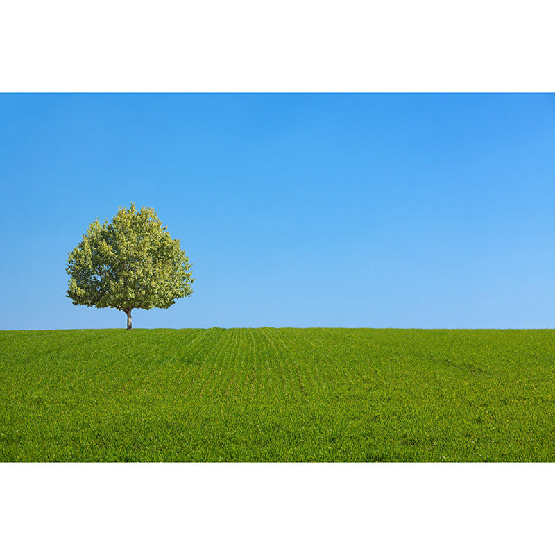 Customized Modern Sky Mural Moisture Resistant Wall Art for Sleeping Room