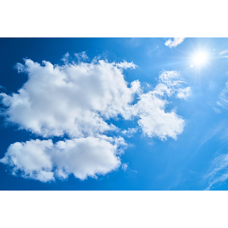 Photography Sky Landscape Mural Mildew Resistant Wall Decor for Living Room