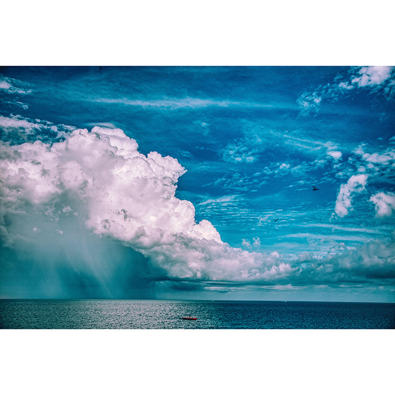 Photography Sky Landscape Mural Mildew Resistant Wall Decor for Bedroom