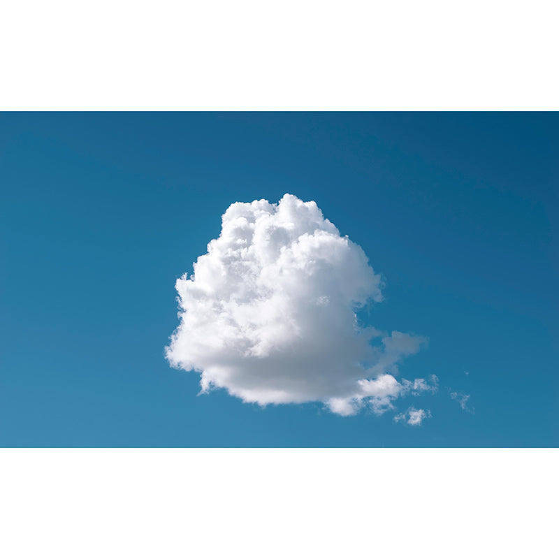 Contemporary Sky Scenery Mural Eco-friendly Home Decor for Dining Room