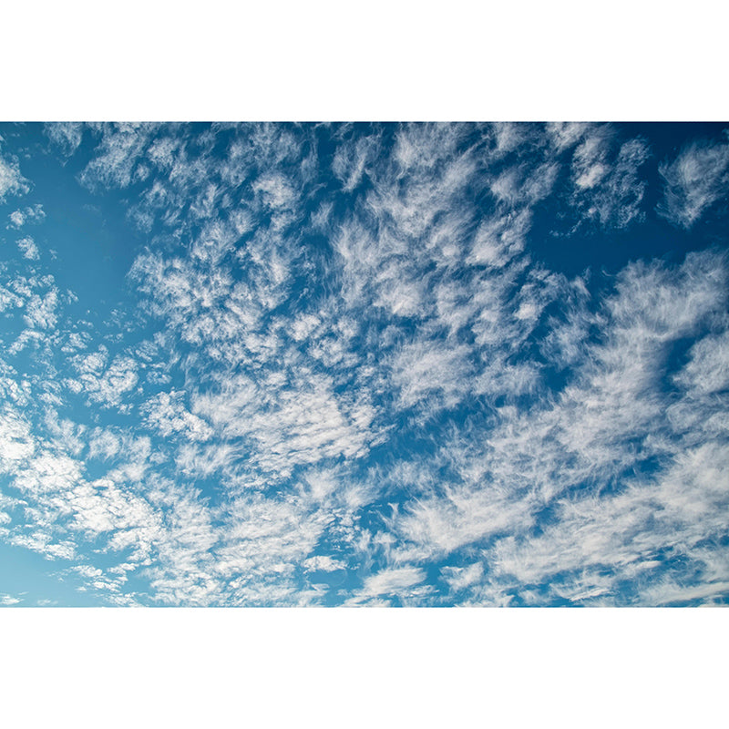 Customized Modern Sky Wall Mural Moisture Resistant Wall Art for Sitting Room