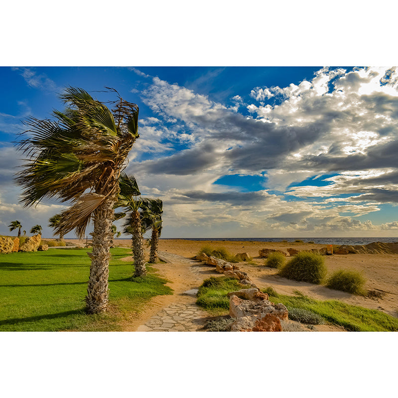 Photography Sky Landscape Mural Mildew Resistant Wall Decor for House Interior