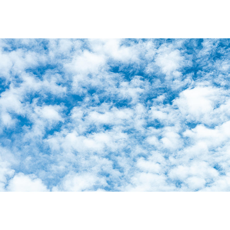 Customized Modern Sky Wall Mural Moisture Resistant Wall Art for Bathroom