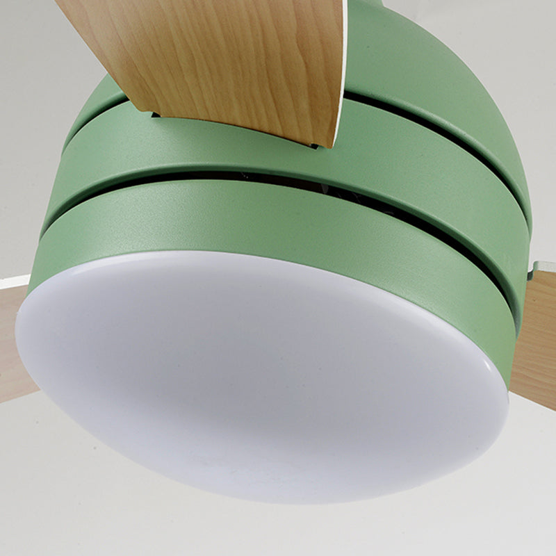 Lámpara de ventilador de techo de jardín de domos LED SEMI SEMI SEMPLIS