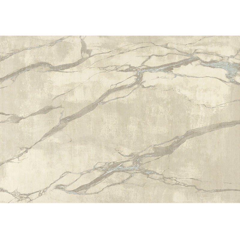 Simplicity Area Carpet Classical Indoor Rug Polyester Stain Resistant Area Rug for Living Room