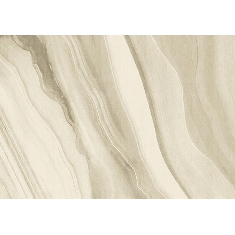 Simplicity Area Carpet Classical Indoor Rug Polyester Stain Resistant Area Rug for Living Room