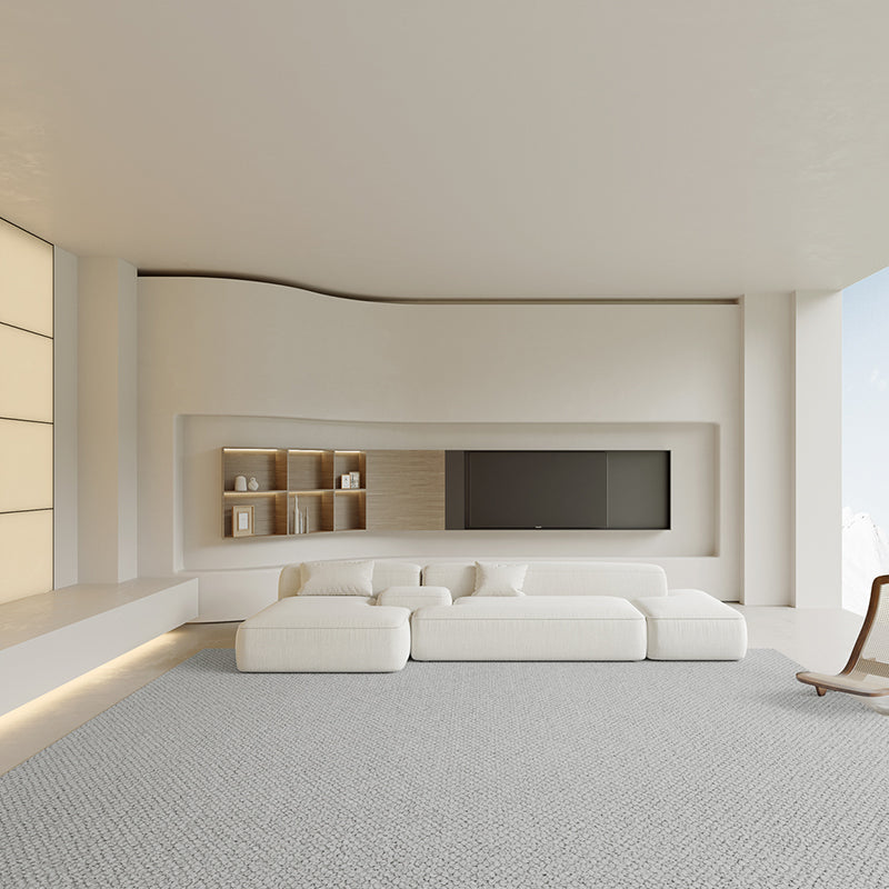 Grey Solid Color Area Rug Modern Polyester Area Carpet Easy Care Rug for Living Room