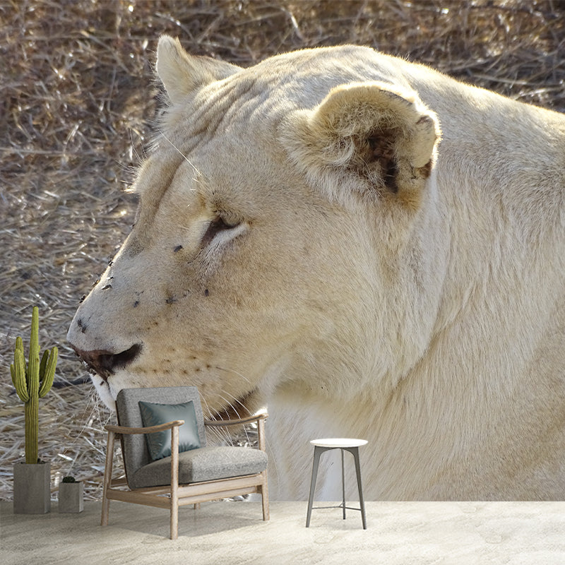 Lioness Animal Wall Mural Modernism Mildew Resistant Wall Decor for Living Room