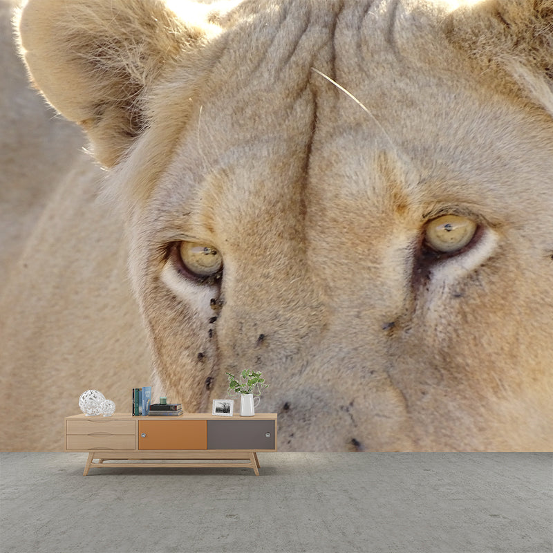 Lioness Animal Wall Mural Modernism Mildew Resistant Wall Decor for Living Room