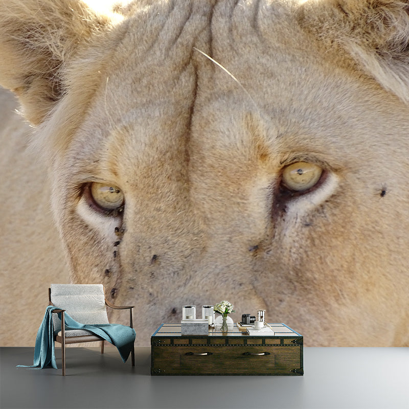 Lioness Animal Wall Mural Modernism Mildew Resistant Wall Decor for Living Room