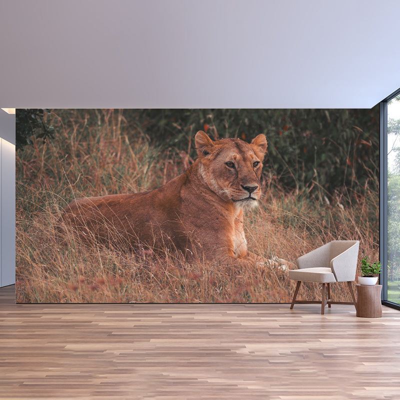 Lioness Animal Wall Mural Modernism Mildew Resistant Wall Decor for Living Room