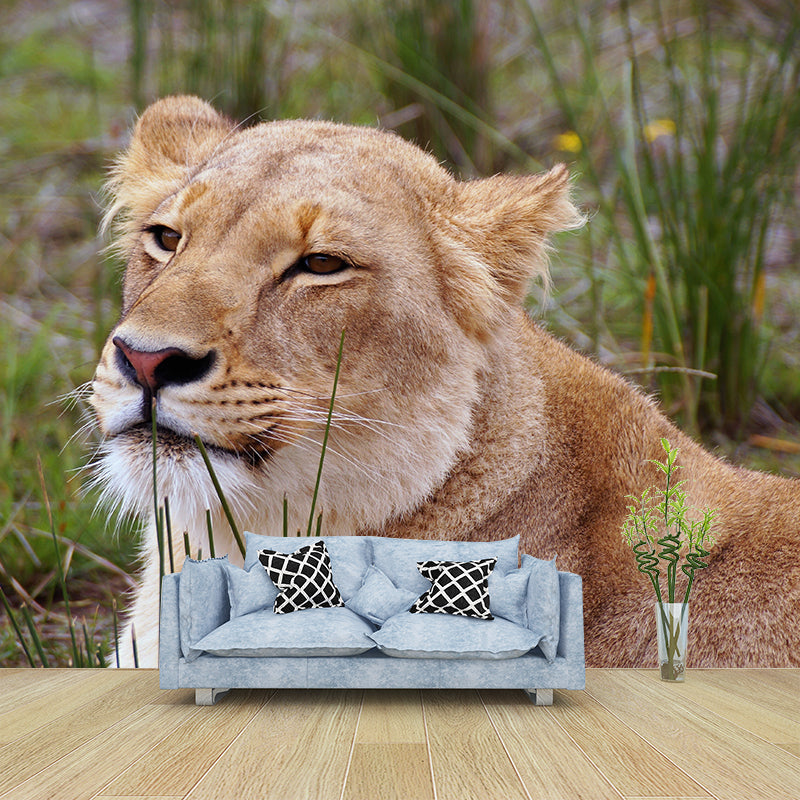 Lioness Mural Environment Friendly Wallpaper Home Decoration for Living Room