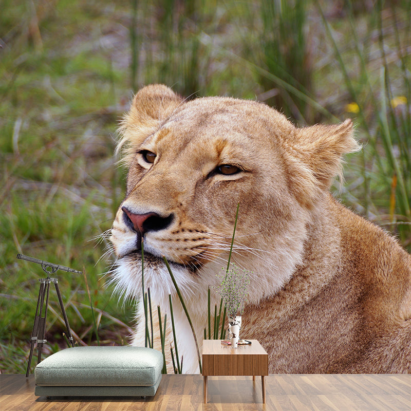 Lioness Mural Environment Friendly Wallpaper Home Decoration for Living Room