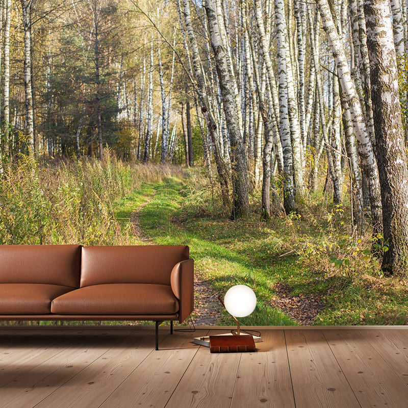 Green Forest Mural Environment Friendly Wallpaper Home Decoration for Living Room