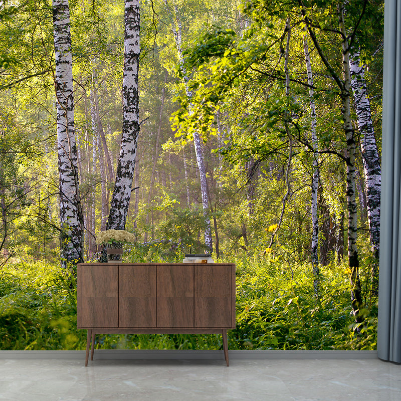 Forest Minimalism Style Mural Wallpaper for Living Room Bedroom, Waterproofing