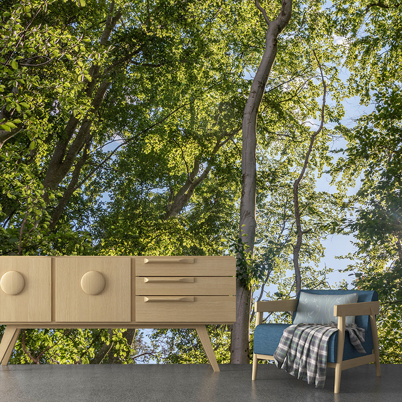 Minimalism Style Forest Removable Wall Mural for Sitting Room, Waterproofing