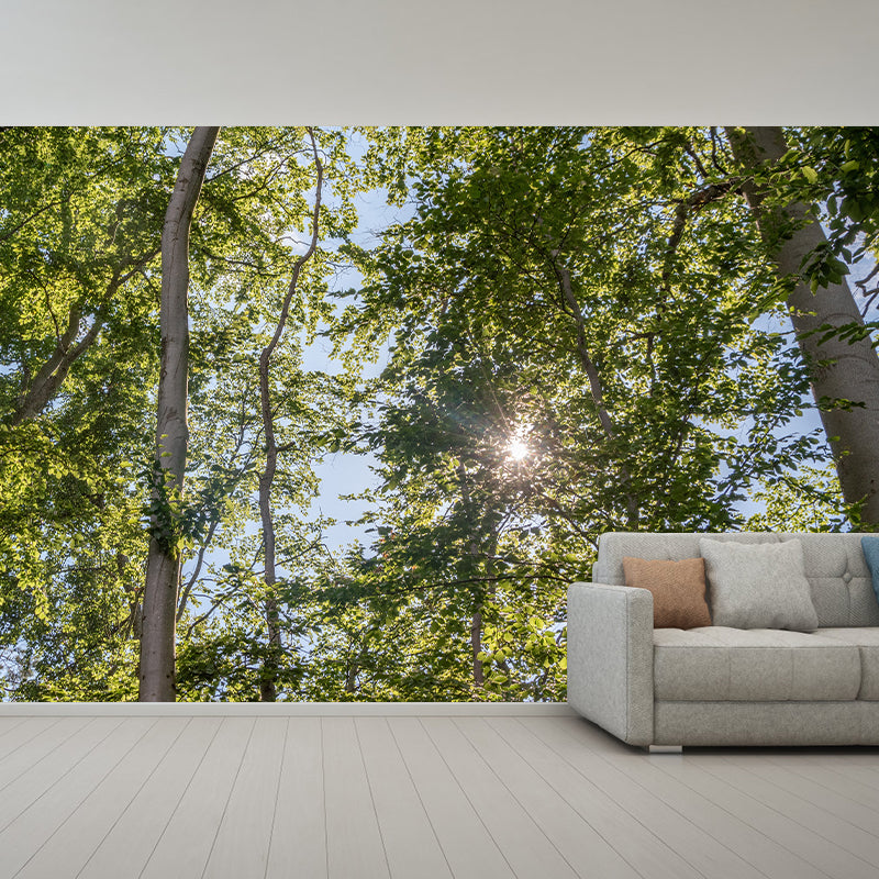 Minimalism Style Forest Removable Wall Mural for Sitting Room, Waterproofing