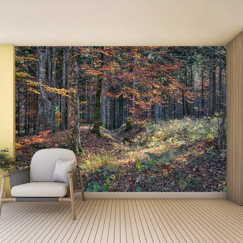 Minimalism Style Forest Removable Wall Mural for Sitting Room, Waterproofing