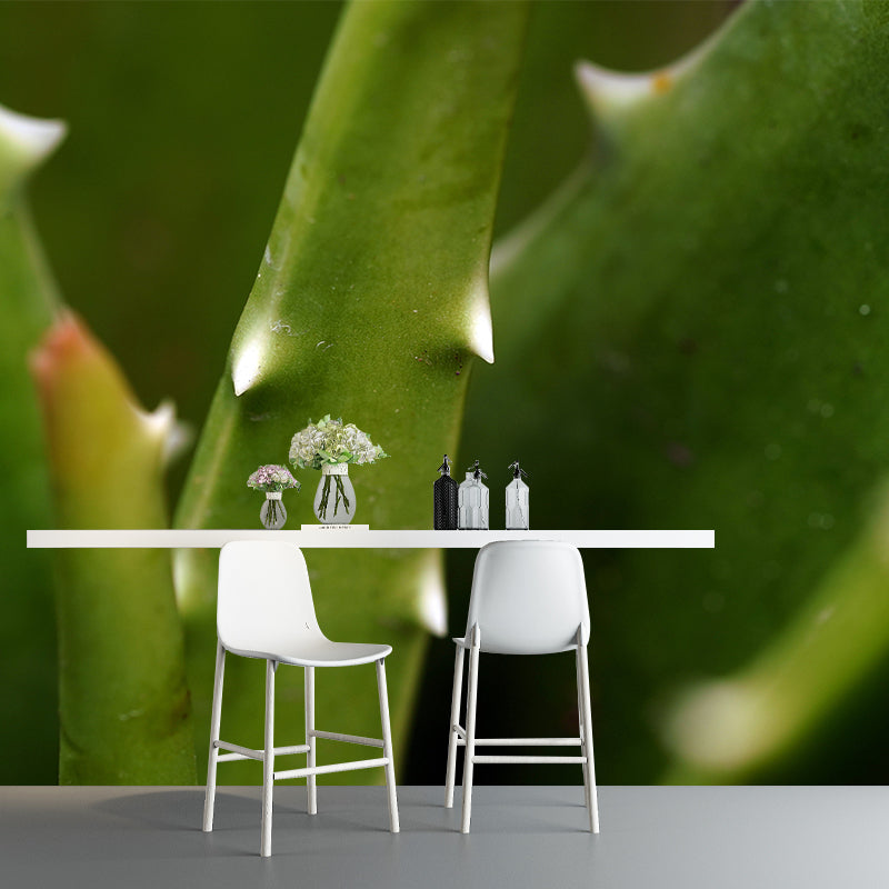 Green Aloe Vera Plant Wall Covering for Home Decoration, Moisture Resistant