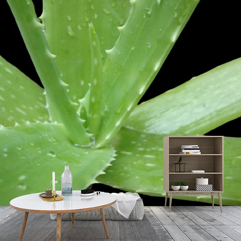 Green Aloe Vera Plant Wall Covering for Home Decoration, Moisture Resistant