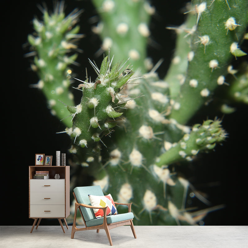 Cactus Mural Wallpaper Personalized Size Contemporary Wall Art for Reading Room