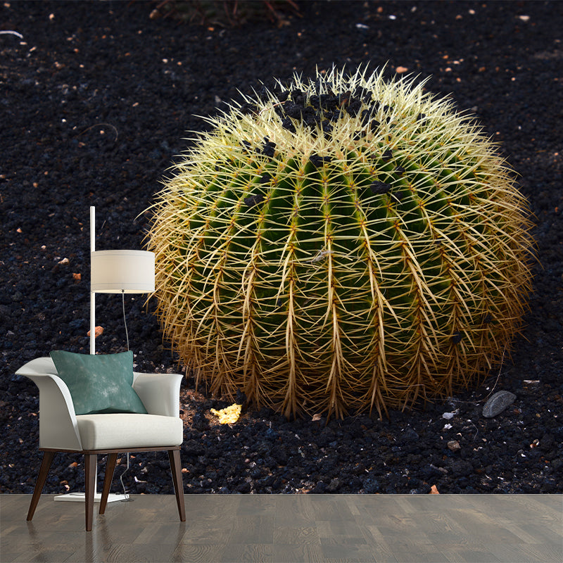 Cactus Mural Wallpaper Personalized Size Contemporary Wall Art for Reading Room