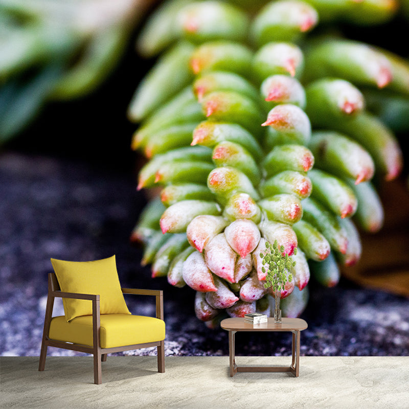 Cactus Mural Wallpaper Personalized Size Contemporary Wall Art for Reading Room