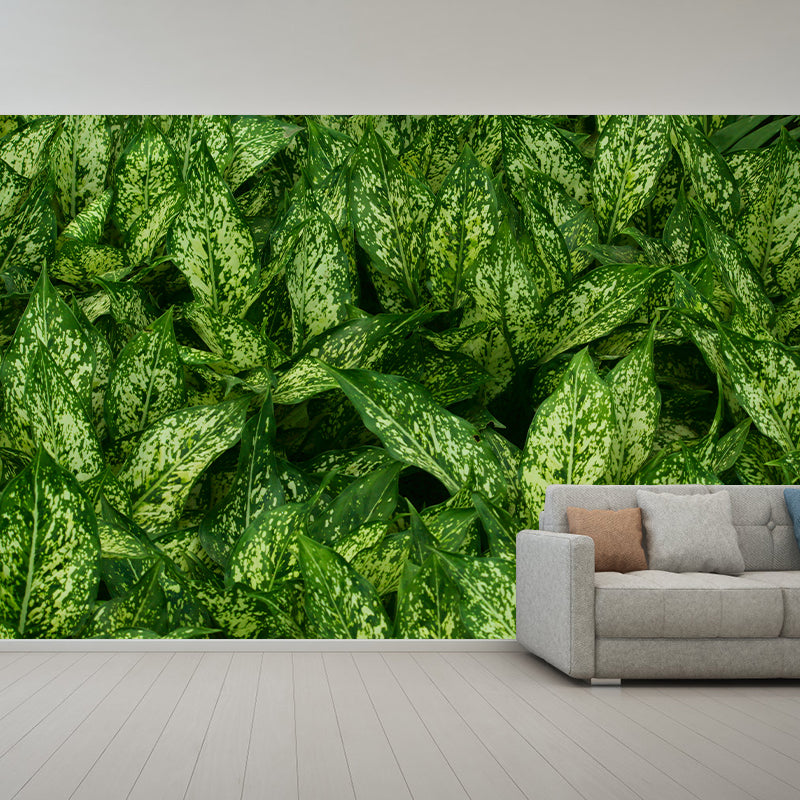 Simple Plant Wall Mural Decal for Bedroom Decoration, Moisture Resistant