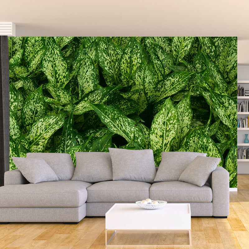 Simple Plant Wall Mural Decal for Bedroom Decoration, Moisture Resistant