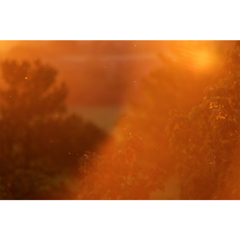 Cloudy Sky Mural Wallpaper Contemporary Wall Covering for Sleeping Room