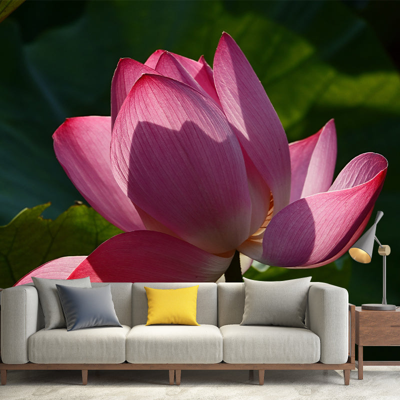Beautiful Pink Lotus Removable Wall Mural for Sleeping Room, Moisture Resistant