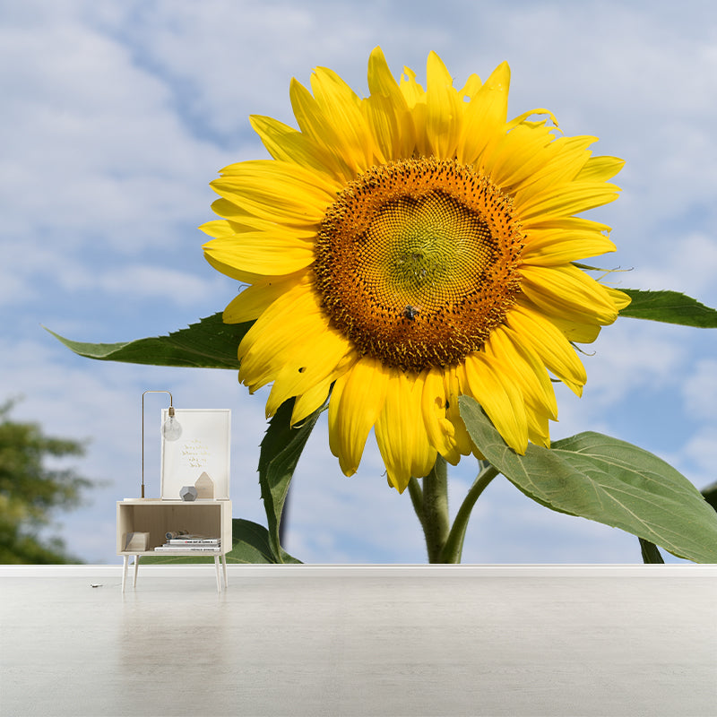 Sunflower Mural Wallpaper for Sitting Room Decor Multiple Sizes Available