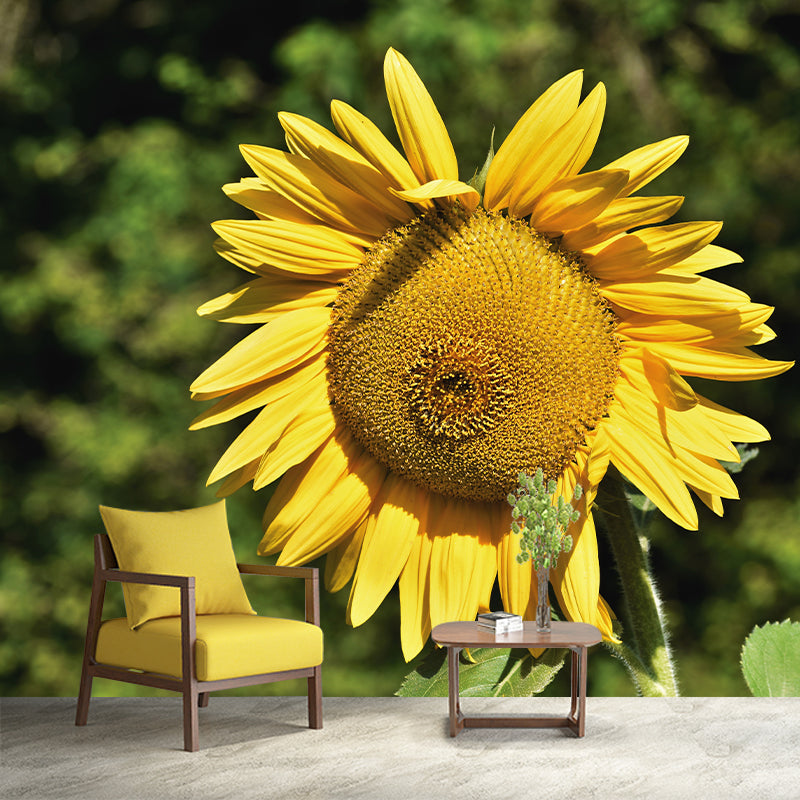 Yellow Sunflower Moisture Resistant Wall Decor for Living Room, Made to Measure