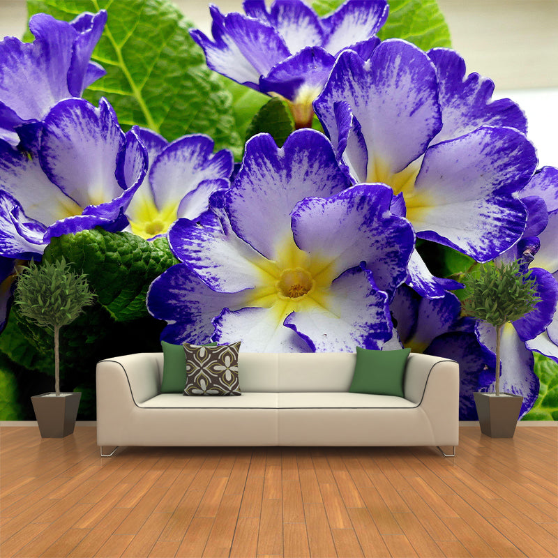 Primrose Mural Moisture Resistant Wallpaper Wall Decor for House Interior