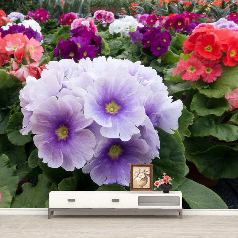 Primrose Mural Moisture Resistant Wallpaper Wall Decor for House Interior