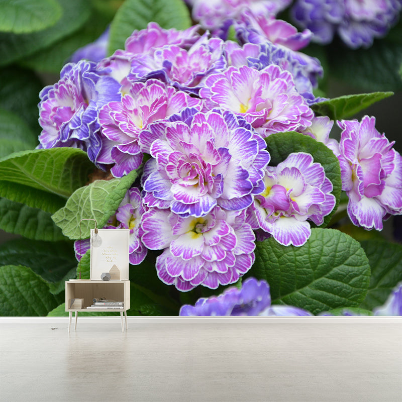 Primrose Mural Moisture Resistant Wallpaper Wall Decor for House Interior