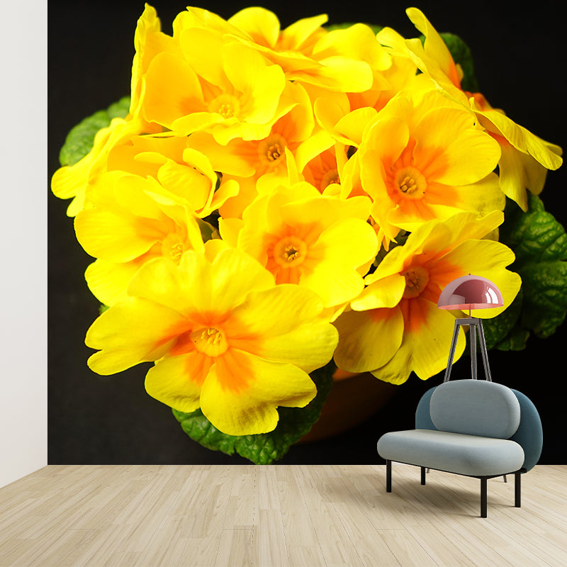 Primrose Mural Moisture Resistant Wallpaper Wall Decor for House Interior