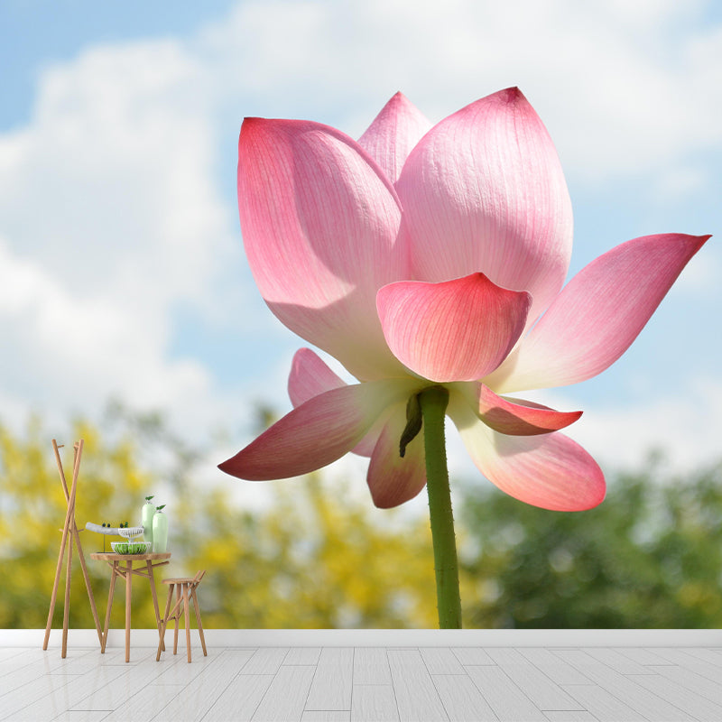 Blooming Lotus Mural Moisture Resistant Wallpaper Wall Decor for House Interior