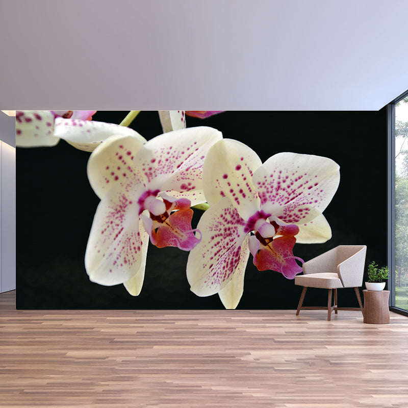 Phalaenopsis Mural Moisture Resistant Wallpaper Wall Decor for House Interior