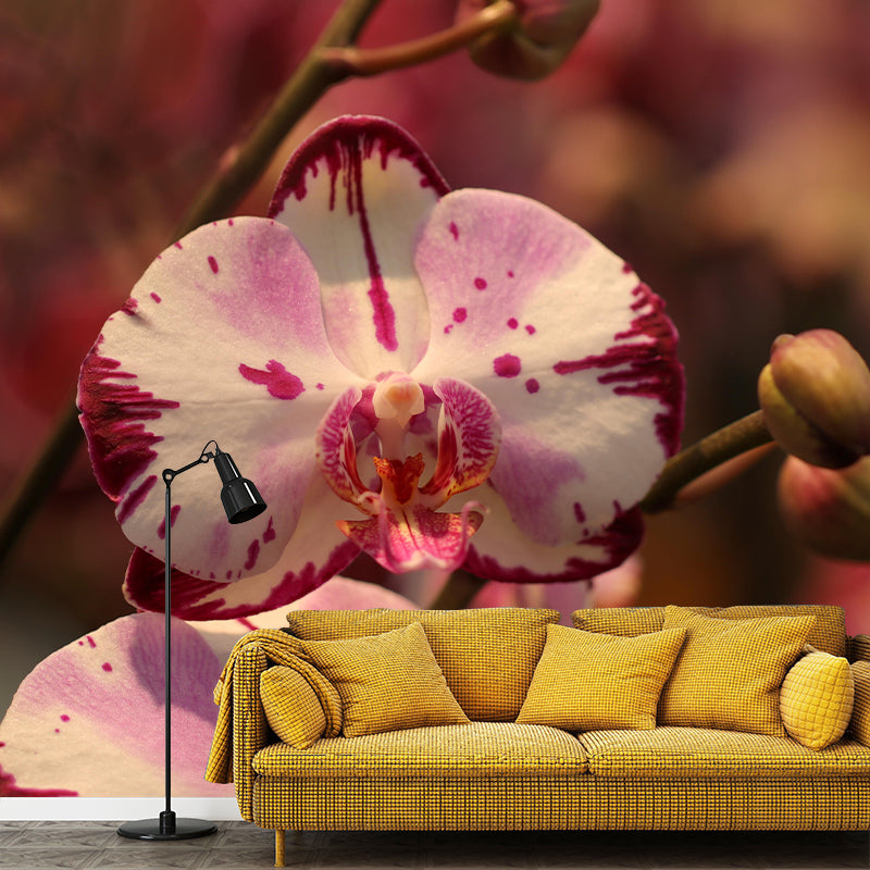 Phalaenopsis Mural Moisture Resistant Wallpaper Wall Decor for House Interior