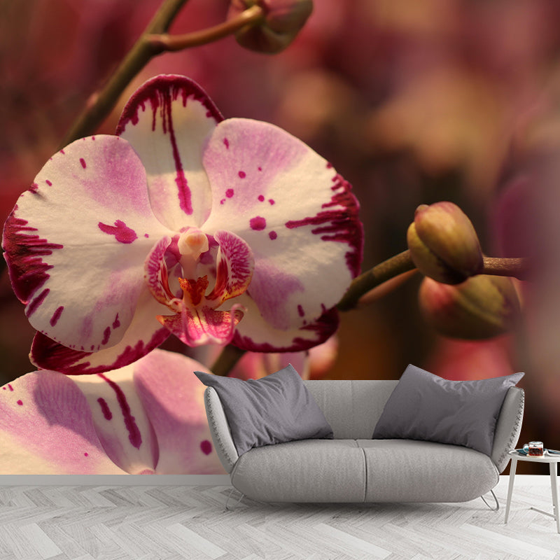 Phalaenopsis Mural Moisture Resistant Wallpaper Wall Decor for House Interior
