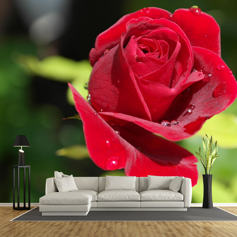 Blooming Rose Mural Moisture Resistant Wallpaper Wall Decor for House Interior