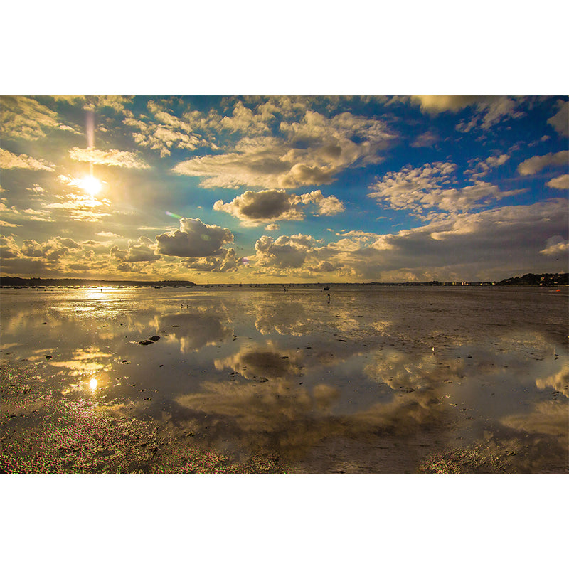 Modern Seascape Mural Wallpaper Mildew Resistant for Reading Room Decor