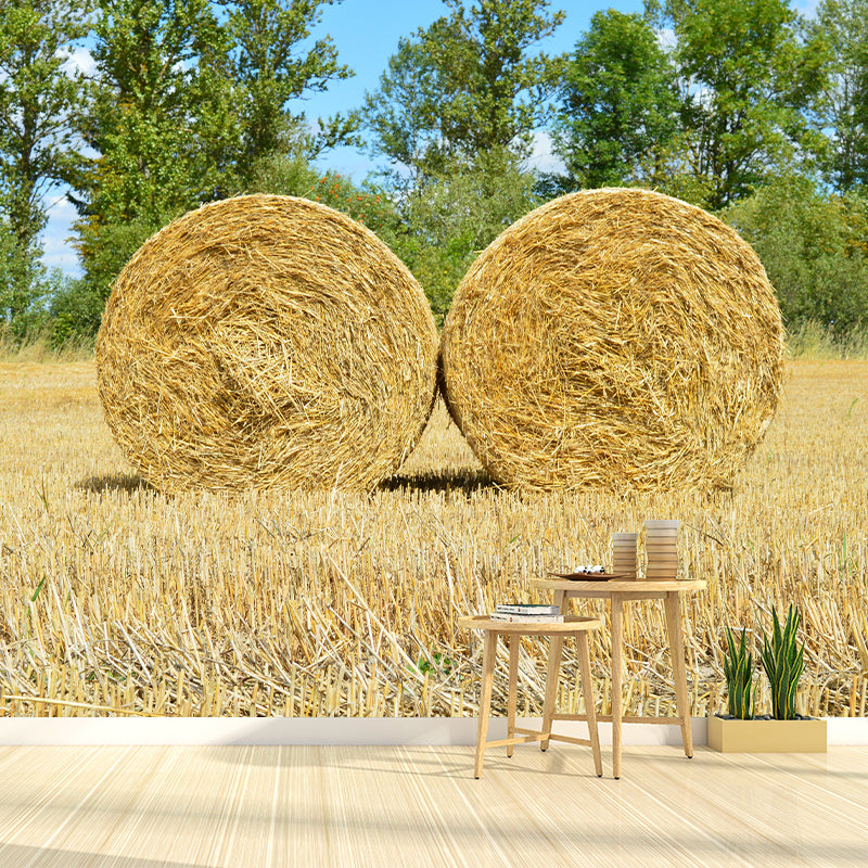 Dry Straw Bales Mural Wallpaper Modern Mildew Resistant for Fireplace Decor