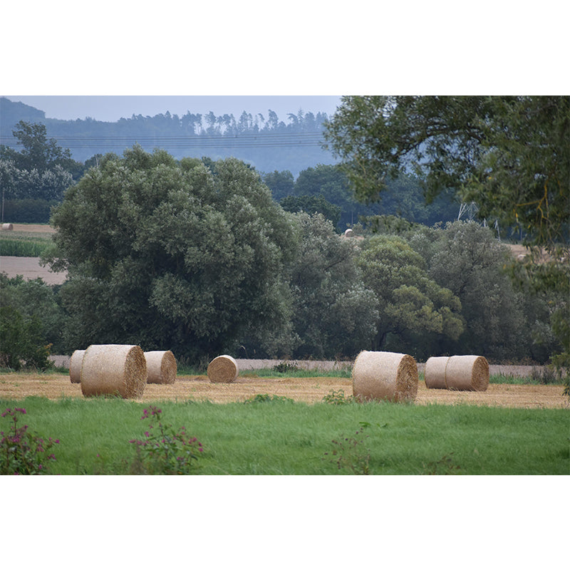 Dry Straw Bales Mural Wallpaper Modern Mildew Resistant for Fireplace Decor